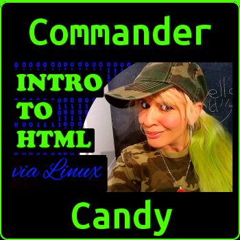 Learn HTML on Linux with Commander Candy